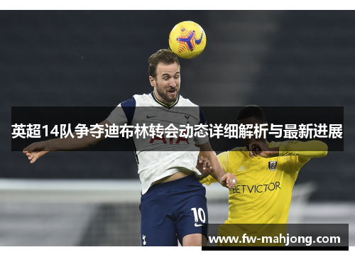 英超14队争夺迪布林转会动态详细解析与最新进展
