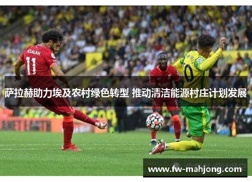 萨拉赫助力埃及农村绿色转型 推动清洁能源村庄计划发展