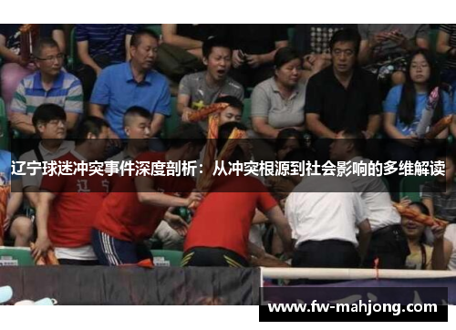 辽宁球迷冲突事件深度剖析：从冲突根源到社会影响的多维解读