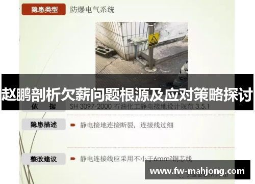 赵鹏剖析欠薪问题根源及应对策略探讨