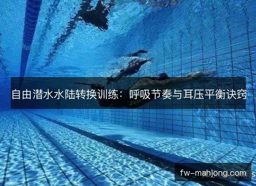 自由潜水水陆转换训练：呼吸节奏与耳压平衡诀窍
