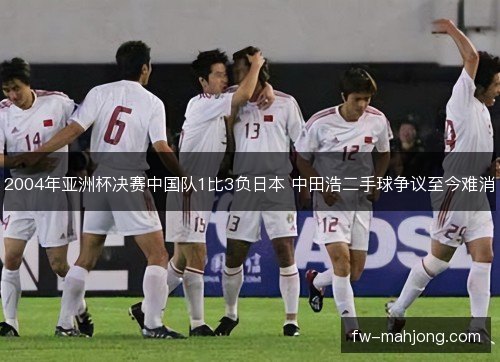2004年亚洲杯决赛中国队1比3负日本 中田浩二手球争议至今难消